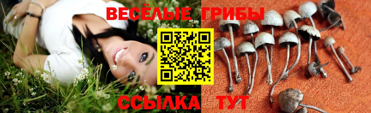 Псилоцибиновые грибы мицелий Североуральск